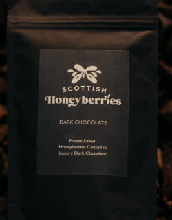 Dark Chocolate Coated Freeze Dried Honeyberries image