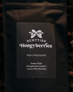 Milk Chocolate Coated Freeze Dried Honeyberries image