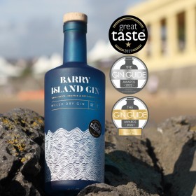 Barry Island Welsh Dry Gin image