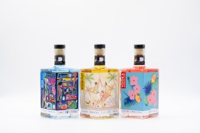 Modern Art Distillery's flavoured spirits - Blueberry & Bergamot Gin, Strawberry & Honey Spiced Rum and Watermelon & Thyme Vodka with label artwork on the series theme of 'Connections' image